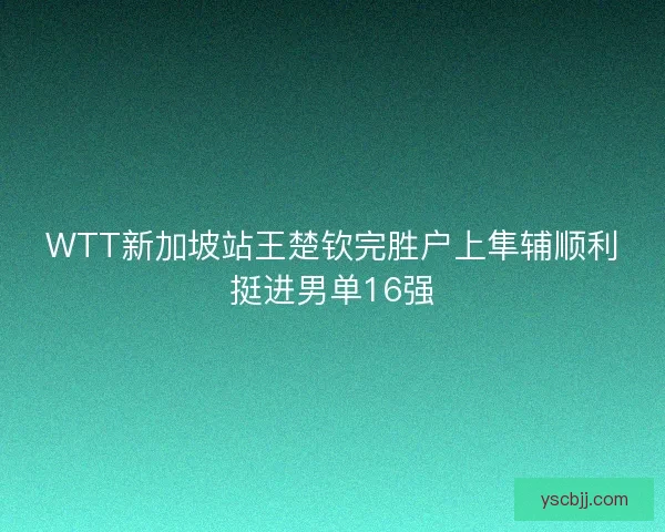 WTT新加坡站王楚钦完胜户上隼辅顺利挺进男单16强